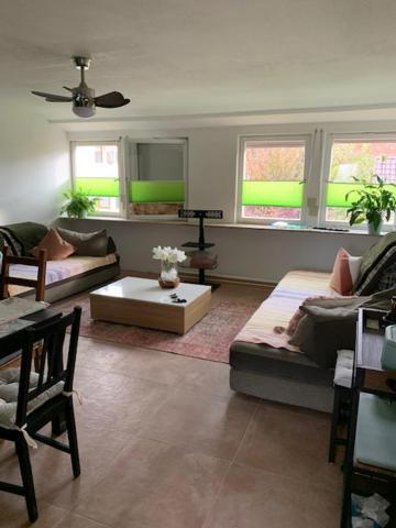 Apartamento Hofesh Altdorf  Exterior foto